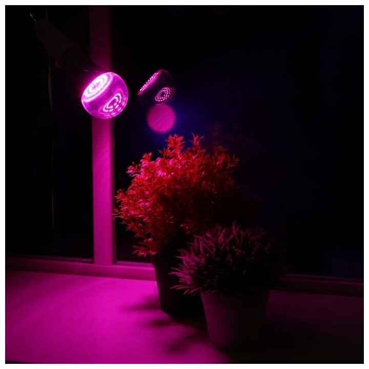 Лампа светодиодная для растений Uniel, А60, Е27, 15 Вт, спектр для рассады и цветения Uniel 4773264 . - фотография № 4