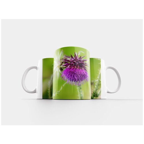 фото Кружка "чертополох, цвести, кивая чертополох" 320 мл lotsprints