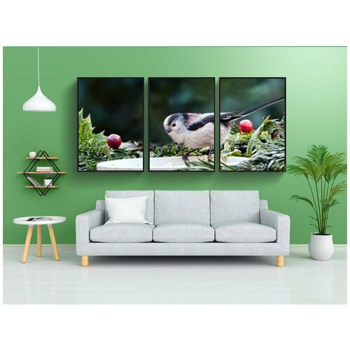 фото Набор модулных постеров для интерьера "животное, птица, певчая птица" 60x90 см. в тубусе, без рамки lotsprints