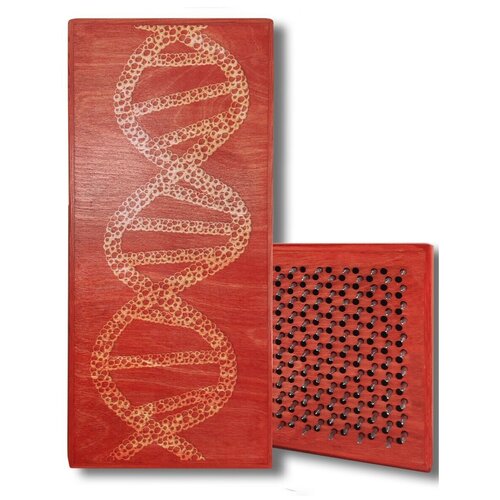 фото Доска садху с динамическими гвоздями, человек - 272 шаг 10мм красная goodwood