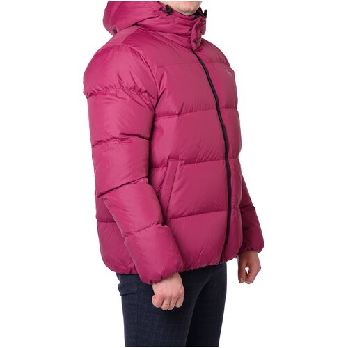Куртка CALVIN KLEIN, размер 52 XL, розовый
