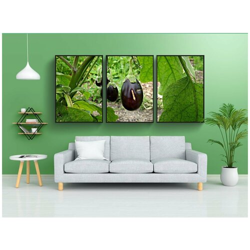 фото Набор модулных постеров для интерьера "баклажан, овощ, огород" 60x90 см. в тубусе, без рамки lotsprints