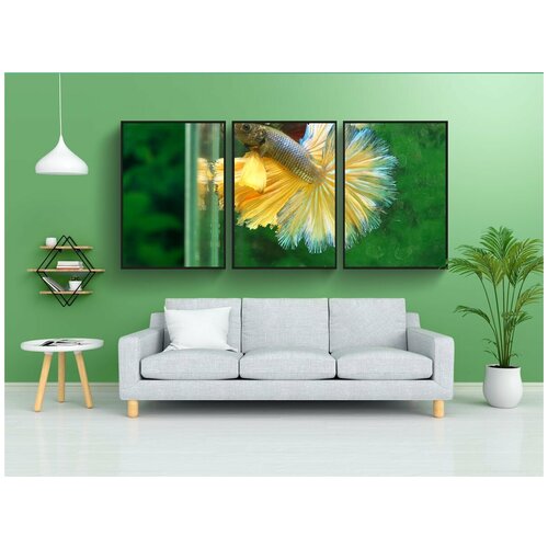 фото Набор модулных постеров для интерьера "бетта, рыбы, hmpk" 60x90 см. в тубусе, без рамки lotsprints