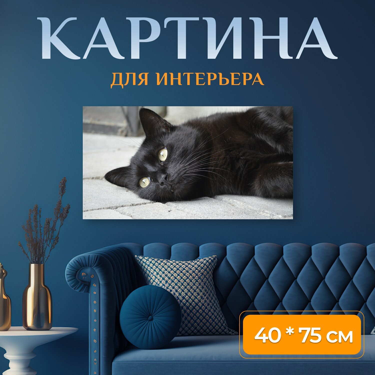 Картина на холсте "Портрет животных, кот, черный кот" на подрамнике 75х40 см. для интерьера