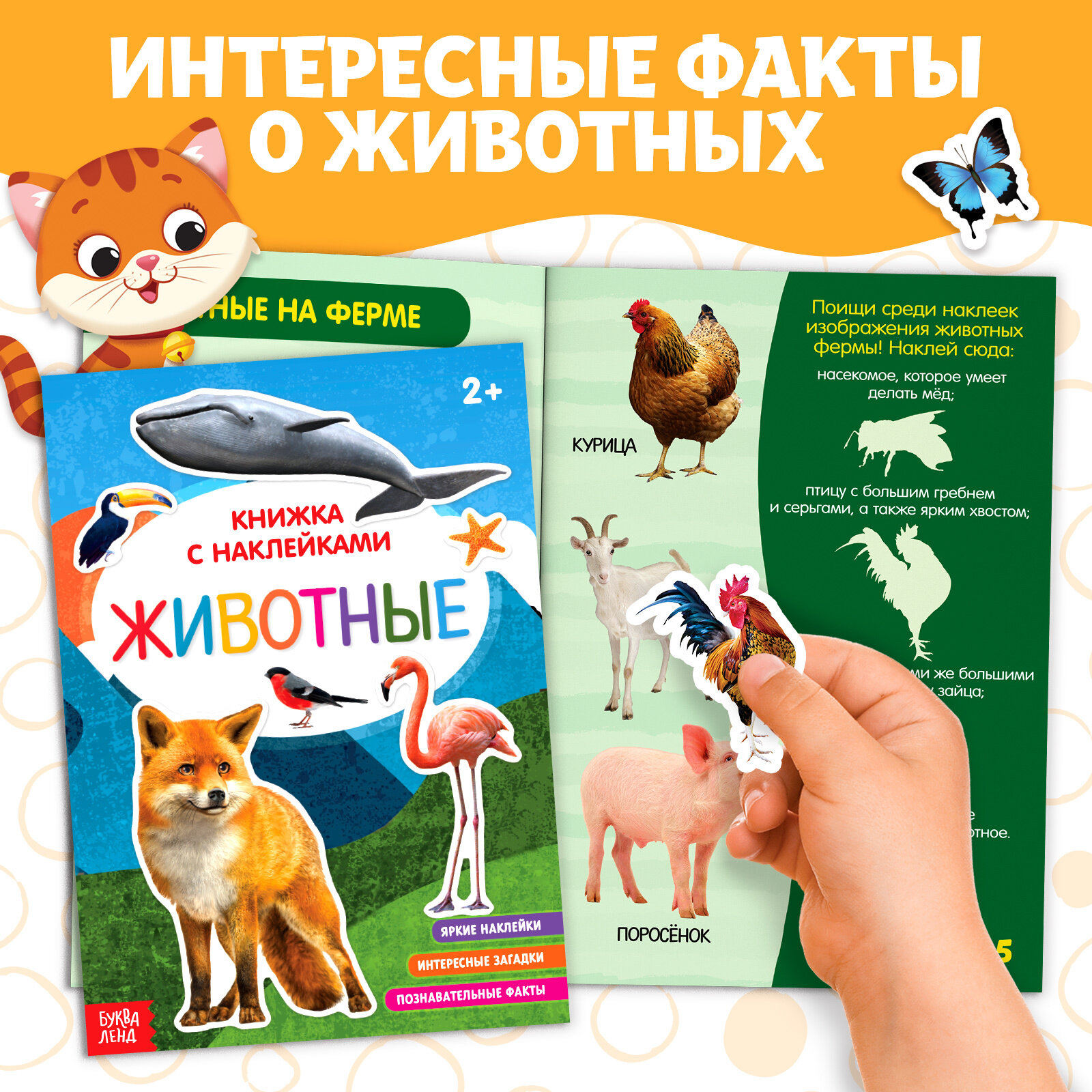 Набор книг для досуга «Я изучаю животных», 4 шт — фото 1