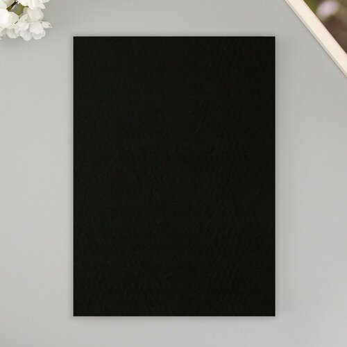 Набор мягкого фетра Астра 3 шт чёрный 3 мм 400 гр 20х30 см 355₽