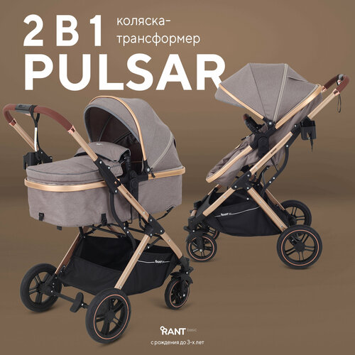 RANT basic PULSAR GOLD RA160 Beige