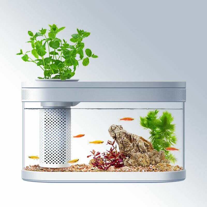 Изображение Автокормушка +Wifi для рыб Xiaomi Descriptive Geometry Smart Feeding Set