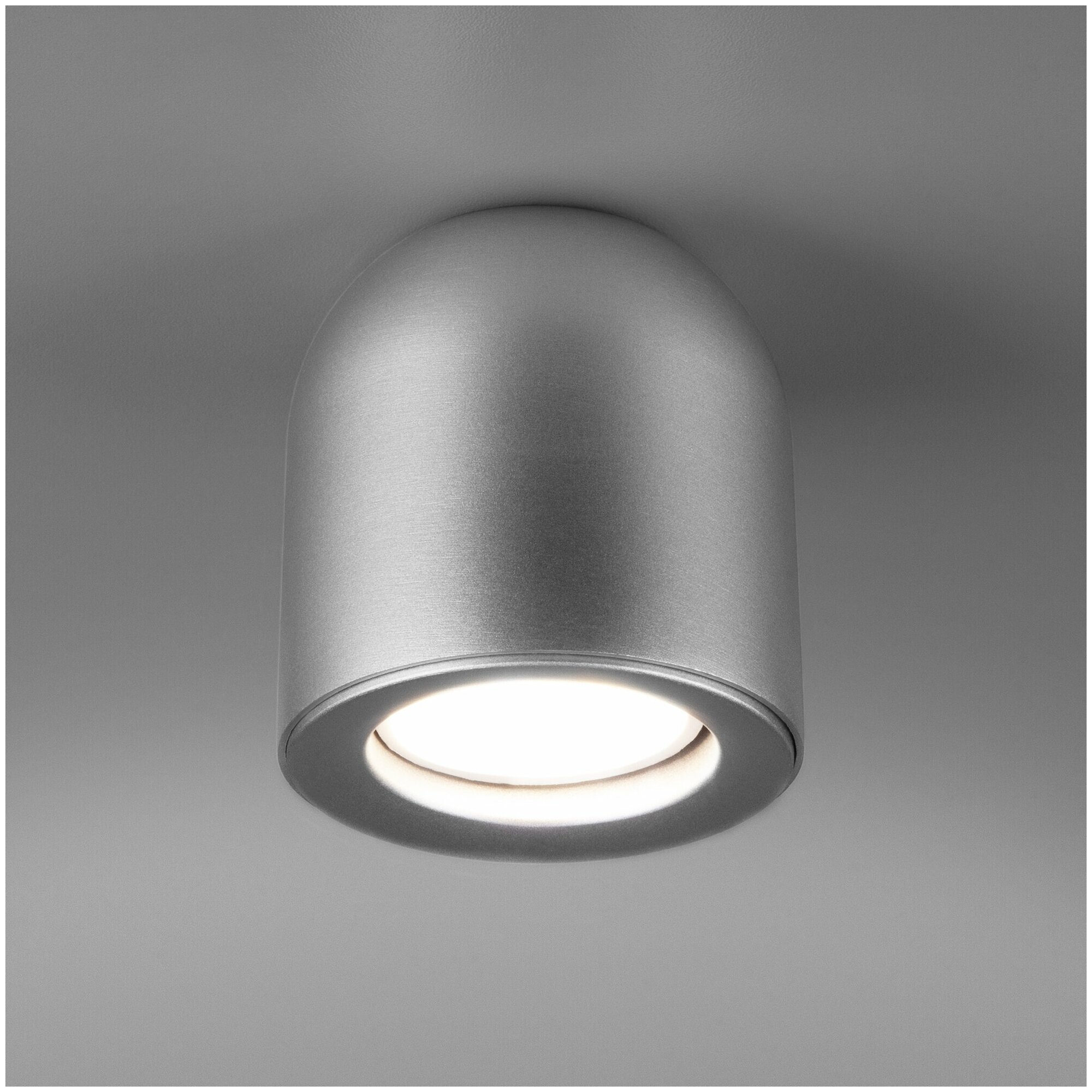Спот / Накладной потолочный светильник Elektrostandard DLN116 GU10 серебро