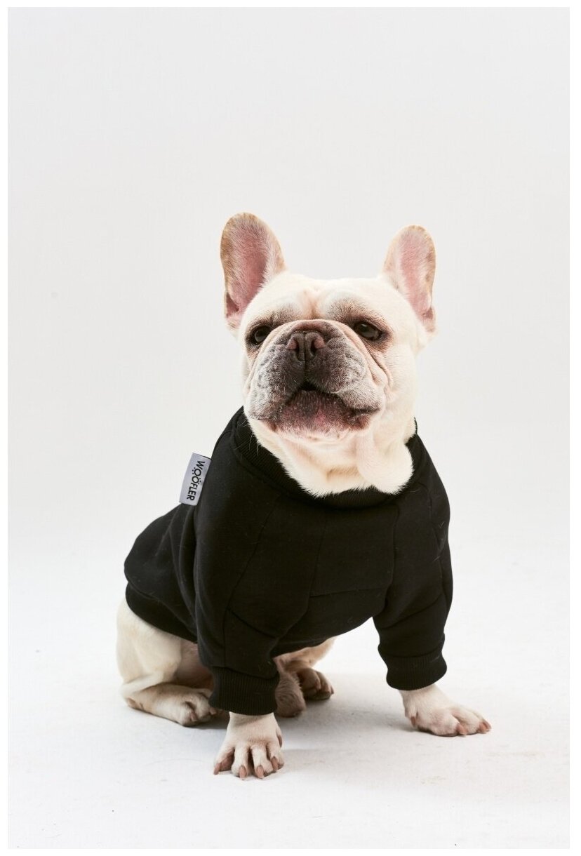 WOOFLER / Свитшот для французского бульдога, бультерьера и амстаффа, толстовка из футера, одежда для собак, цвет черный, размер М42