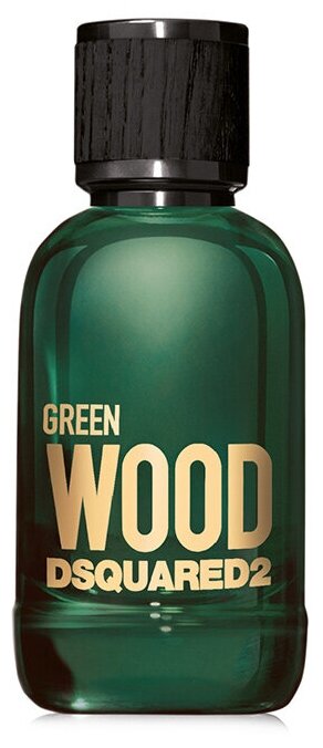 Туалетная вода мужская DSQUARED2 GREEN WOOD Pour Homme 100ML