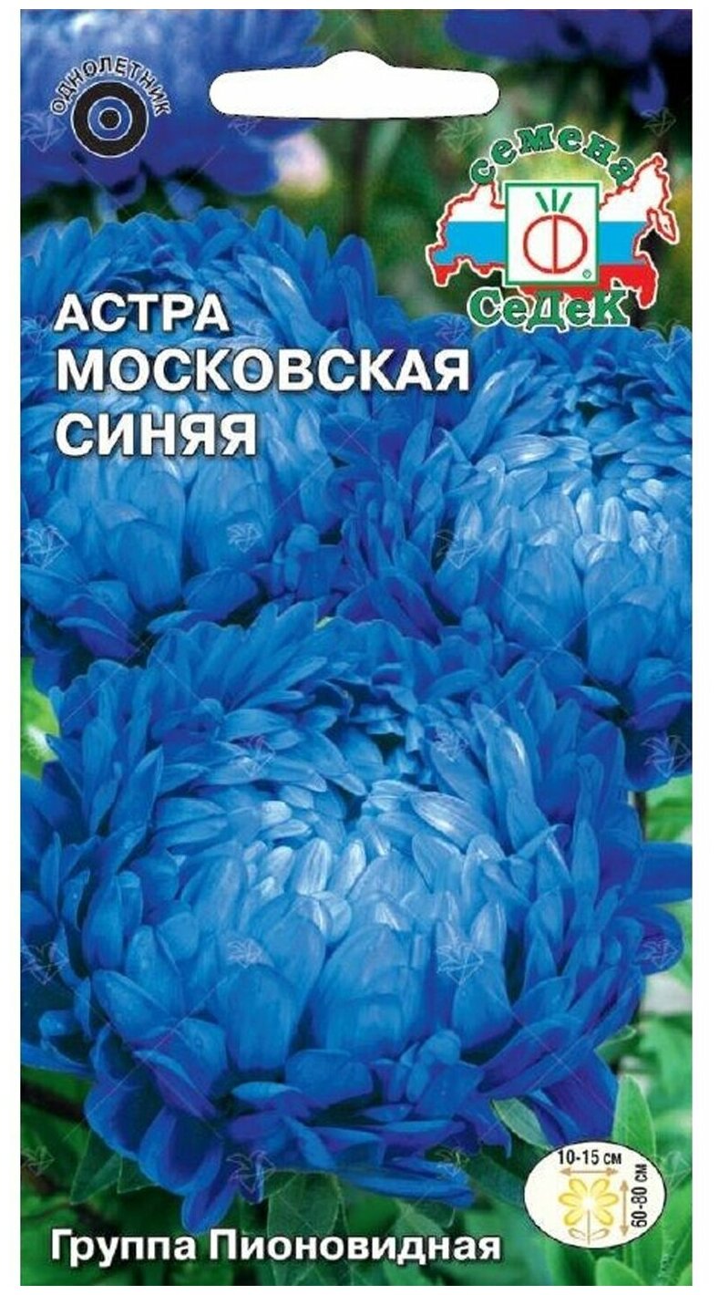 Семена астры Московская синяя 02 г