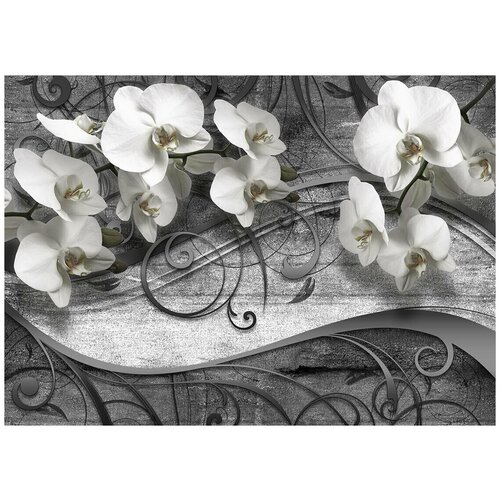 Орхидея на черном - Виниловые фотообои, (211х150 см) белая орхидея фаленопсис 3d виниловые фотообои 211х150 см