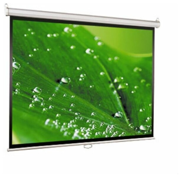 Экран ViewScreen Scroll (1:1) 160*160 MW WSC-1104