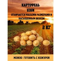 ОгородNIK Бэби-картофель, для жарки, варки, запекания, с тонкой кожурой, 2000 г