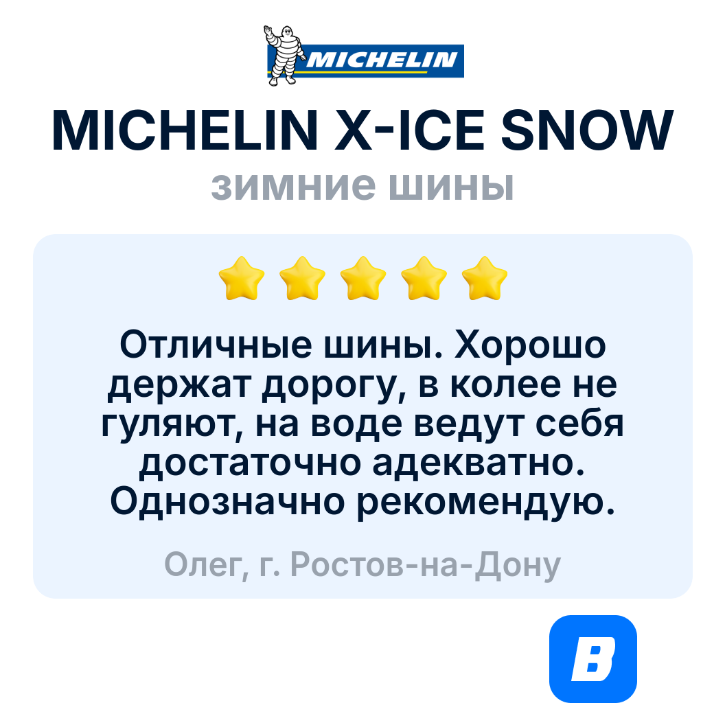 Зимняя шина Michelin - фото №5