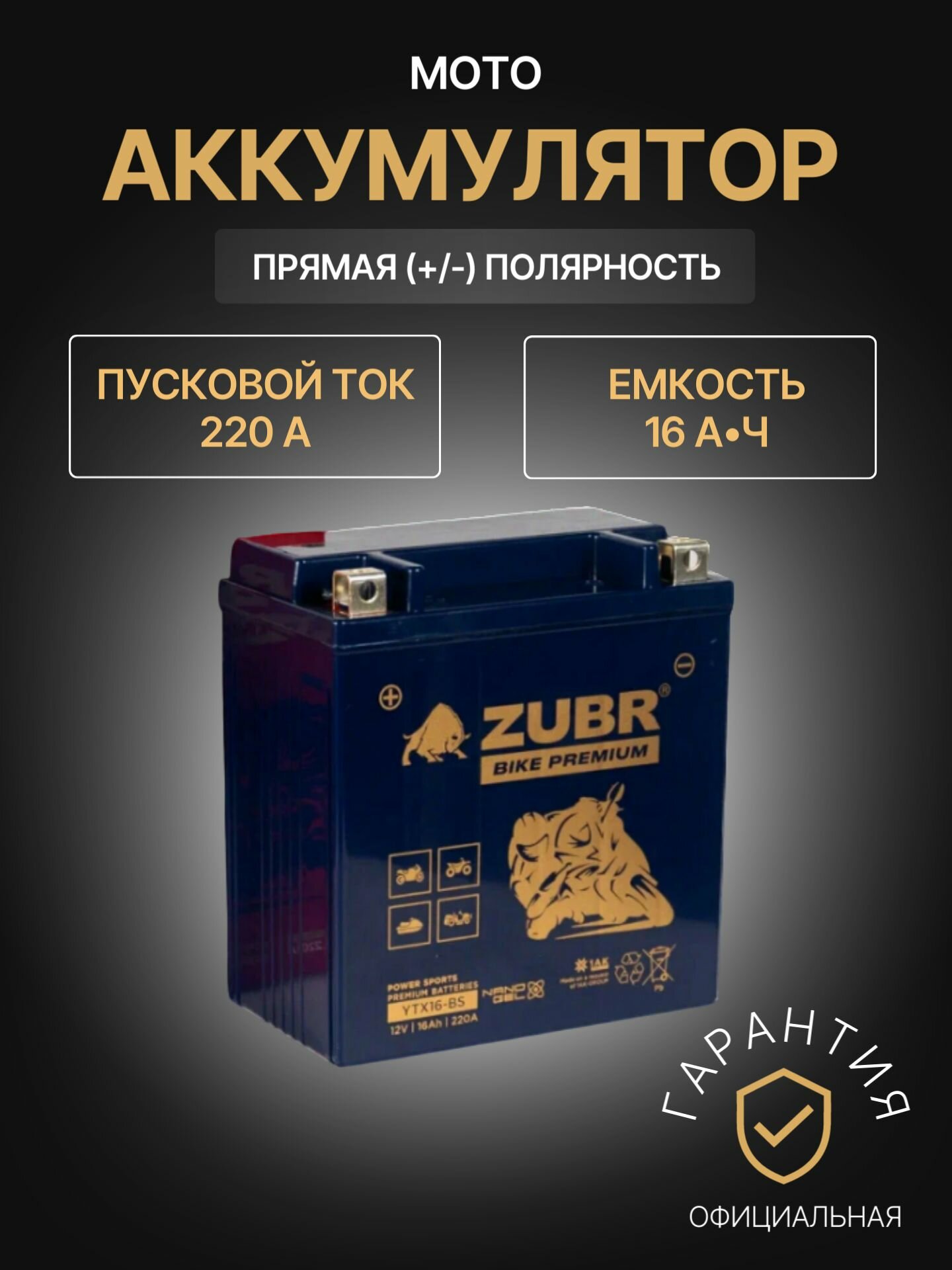 Аккумулятор для мототехники Zubr Bike Premium YTX16-BS 12В 16Ач 220А, Прямая полярность