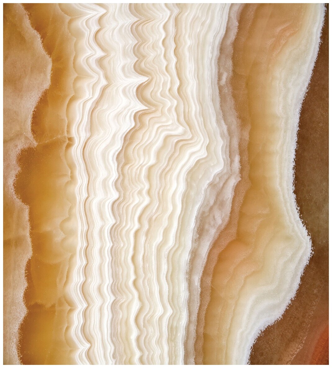 Комплект тканевых салфеток JoyArty "Подводный риф" для сервировки стола, 32x46 см, 4шт. - фотография № 2