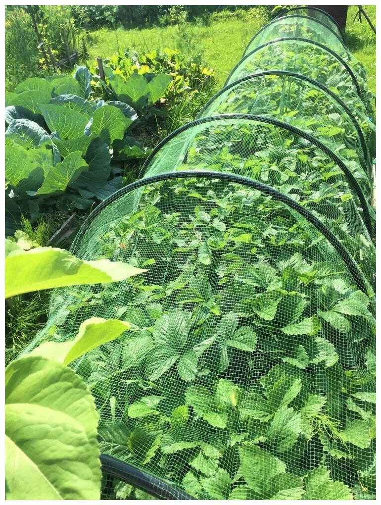 Сетка для защиты урожая от птиц 2х5 м (10 м2), пластиковая сетка садовая ячейка 6х8 мм, хаки - фотография № 8