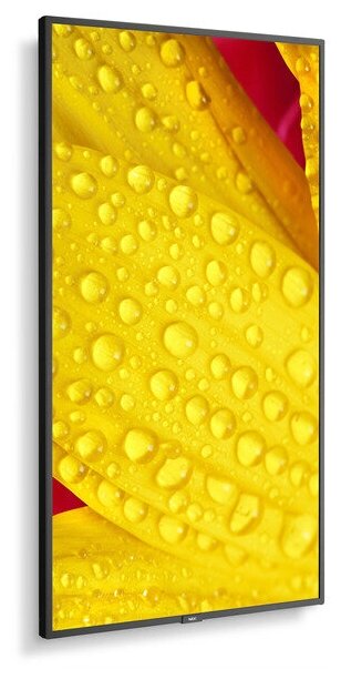 Профессиональная панель NEC ME431