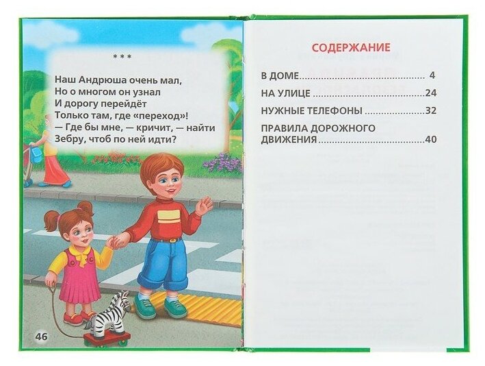 Правила безопасности (Дружинина Марина Владимировна) - фото №15