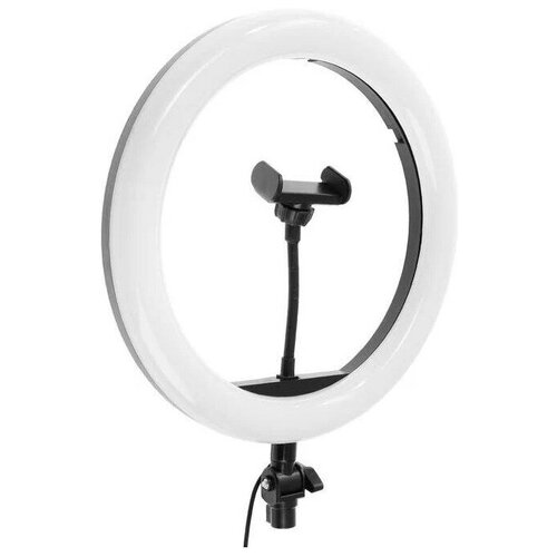 Кольцевая лампа JM-320 31 см с держателем для телефона и регулировкой температуры и яркости света 139000₽
