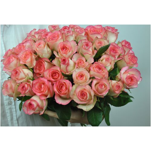 Букет роза Джумилия 50 см 41 шт.