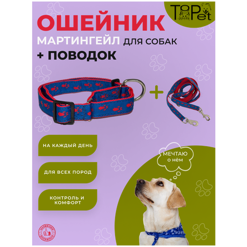 Комплект: Ошейник (мартингейл) + Поводок (перестежка)