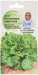 Салат Кучерявец одесский 1 г / семена салат листовой /
