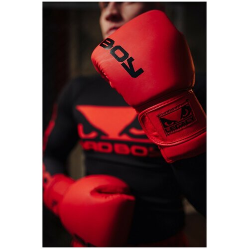 Боксерские перчатки Bad Boy Legacy Prime Boxing Gloves Red/Black 10 унций