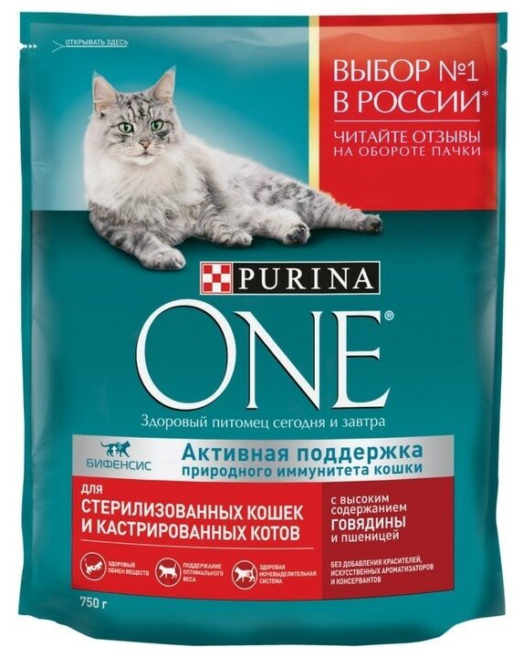 Сухой корм Purina ONE для стерилизованных кошек и котов с говядиной и пшеницей пакет 750г, для взрослых кошек - фотография № 12