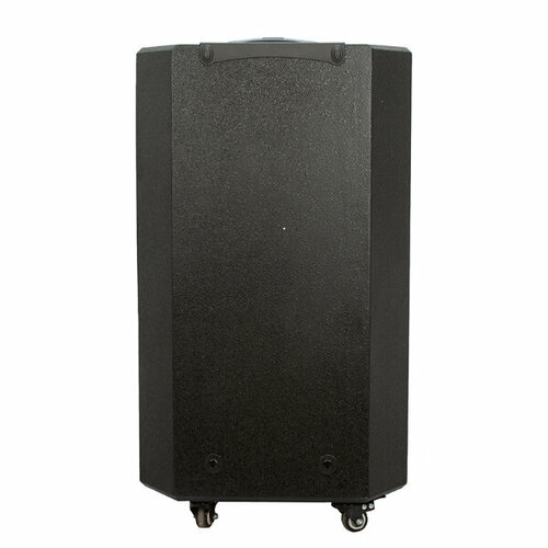 Колонка ElTRONIC 15 20-60 динамик 1шт15 черная ElTRONIC Professional Box 1500 с TWS 3945000₽