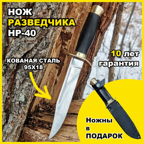 Нож разведчика НР-40 классический из кованой нерж. стали 95Х18, гарда и основание из латуни, рукоять граб нож разведчика нр 40 классический из кованой нерж стали 95х18 с литьём из латуни рукоять кожа