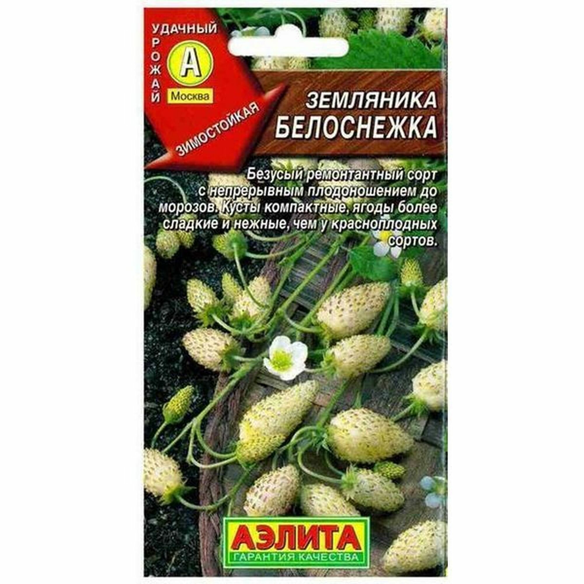Семена Земляника Белоснежка Аэлита 1 пачка - 0.03г семян