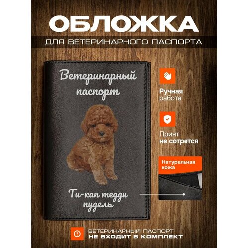 Обложка на ветеринарный паспорт для собак с принтом Ти-кап тедди пудель