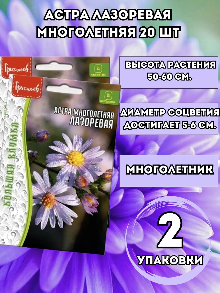 Астра Лазоревая многолетняя 2 упаковки