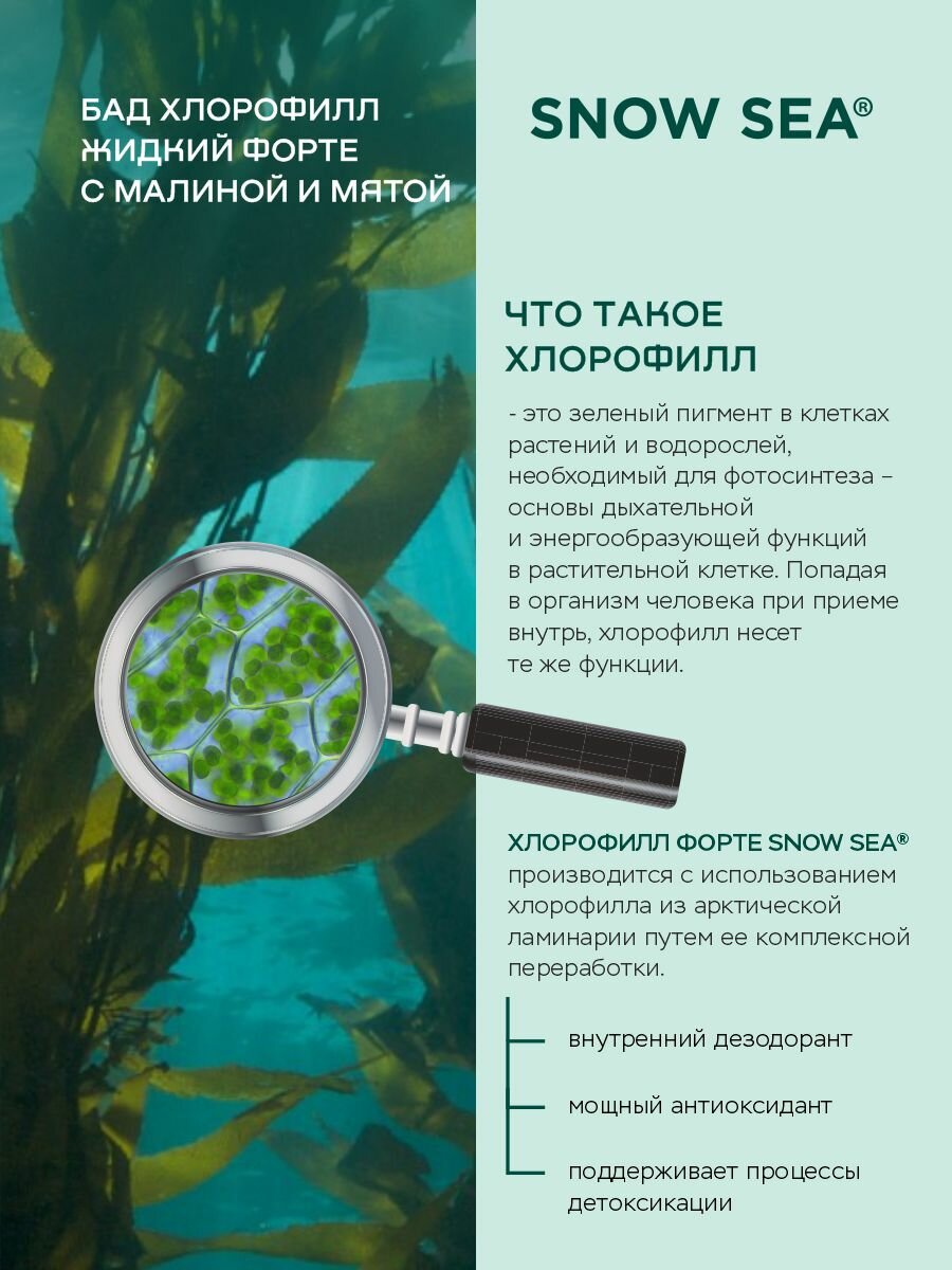 БАД Хлорофилл жидкий для ЖКТ и детокса и похудения, 450 мл. АВ1918 - фото №5