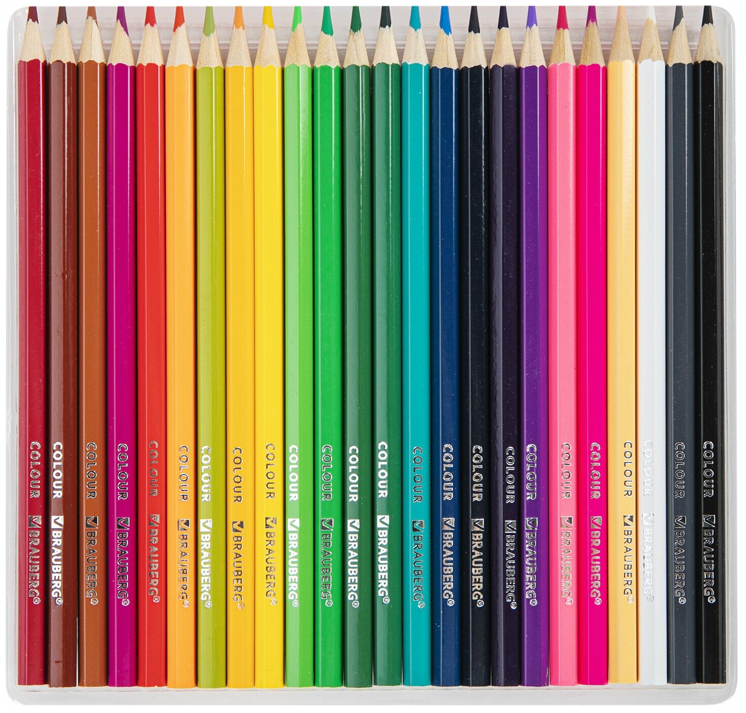Карандаши цветные Академия, 24 цвета Brauberg - фото №4