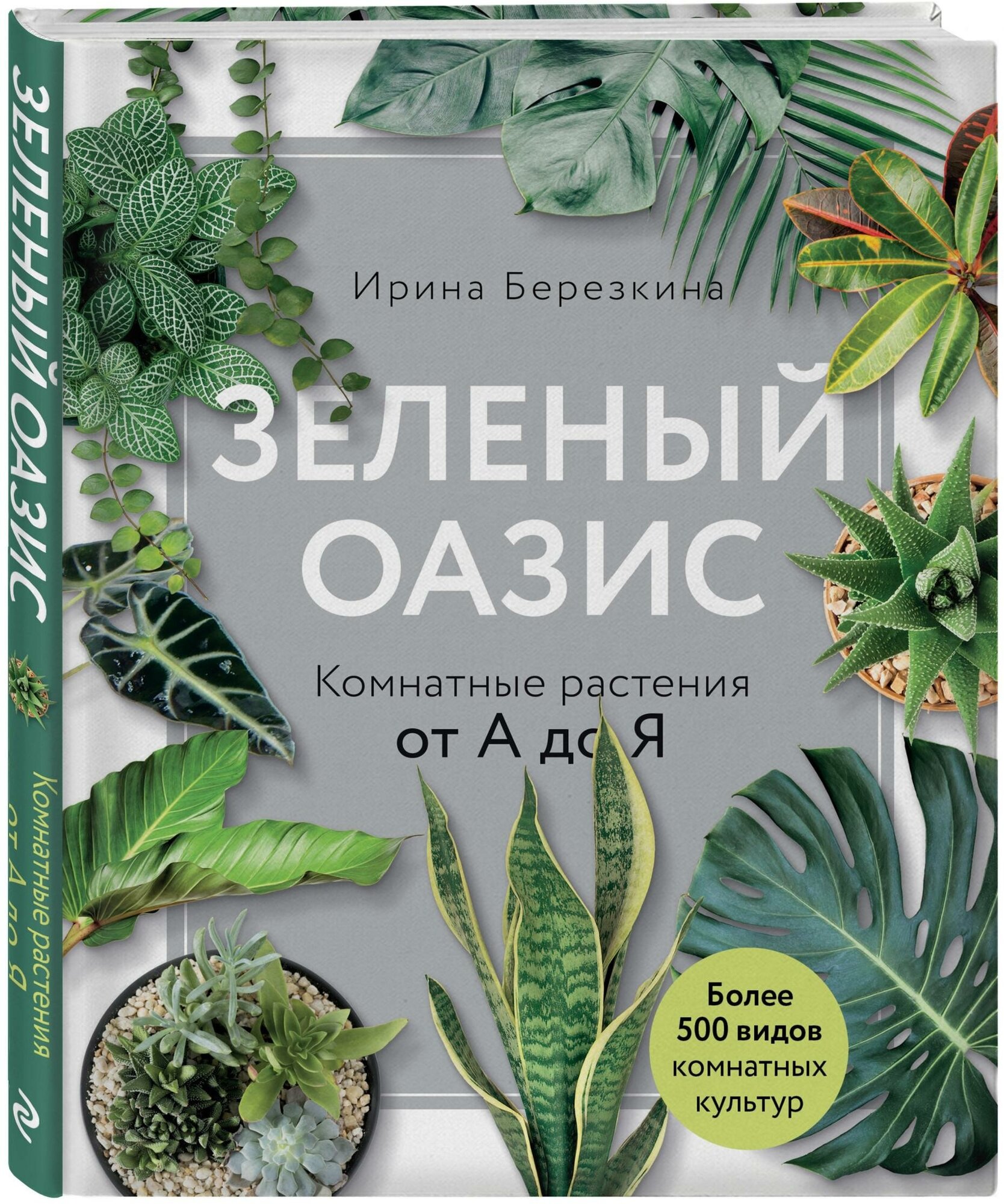 Березкина Ирина Валентиновна. Зеленый оазис. Комнатные растения от А до Я. Подарочные издания. Энциклопедии цветовода, дачника