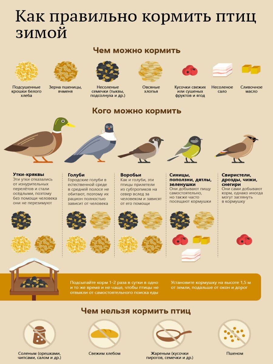 Кормушка для птиц деревянная сборная, уличная кормушка для мелких птиц, домик для птиц, подвесная кормушка - фотография № 5