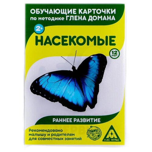 Обучающие карточки по методике Г. Домана «Насекомые», 12 карт, А6 лас играс обучающие карточки по методике г домана насекомые 12 карт а6