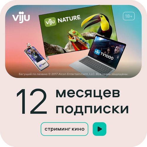 Подписка viju 12 месяцев viju_12 99900₽