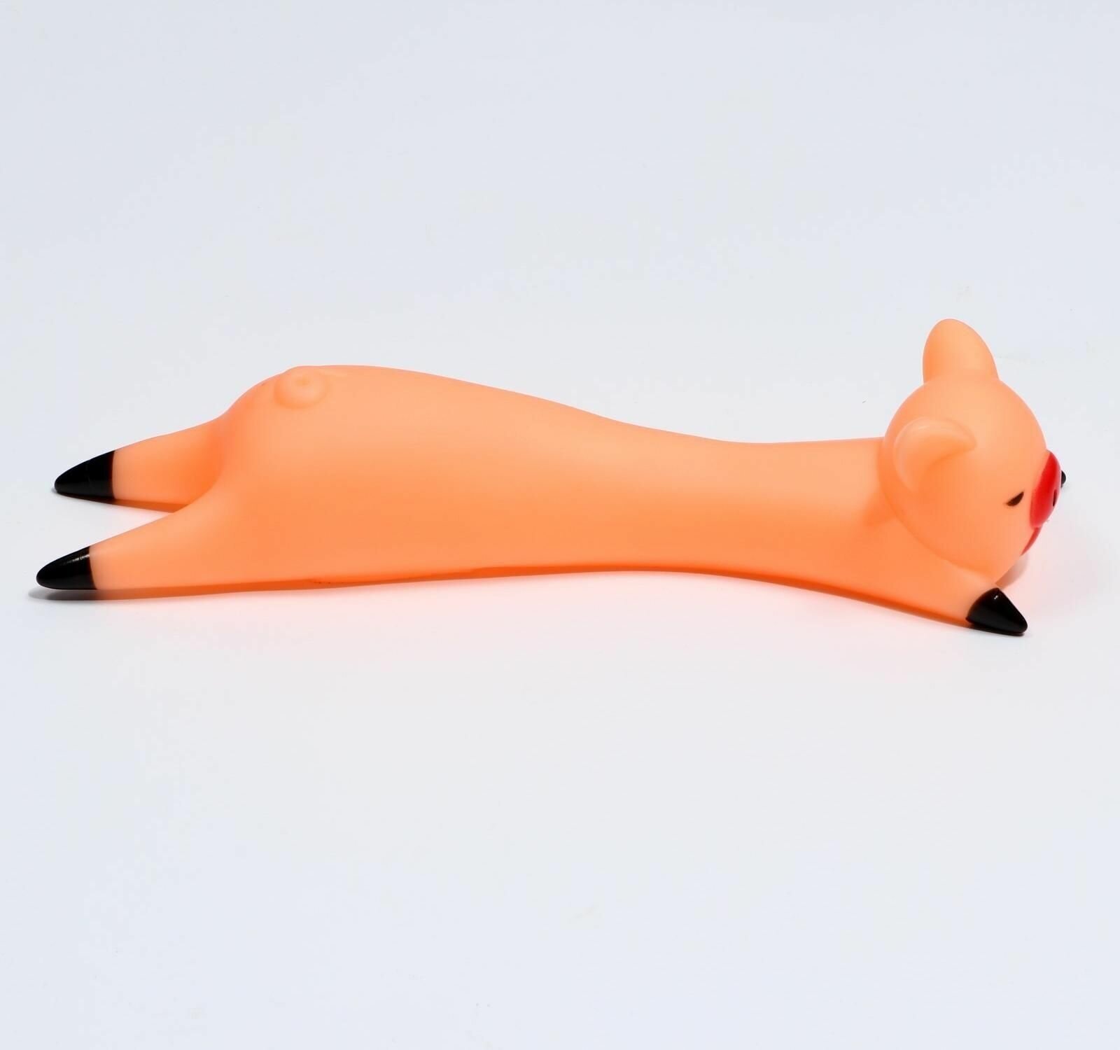 Игрушка пищащая "Свинья на отдыхе" для собак, 14,5 х 5 см, бежевая 7471583 - фотография № 5