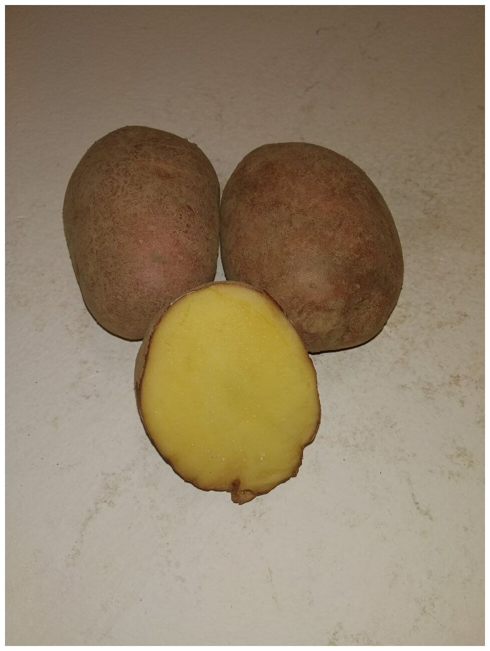 Картофель семенной лапоть клубни 4 кг - фотография № 7