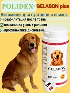 Кормовая добавка Polidex Gelabon plus , 500 таб.