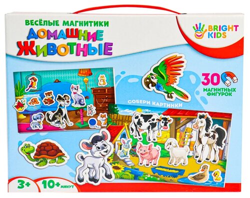 Bright Kids Весёлые магнитики Домашние Животные