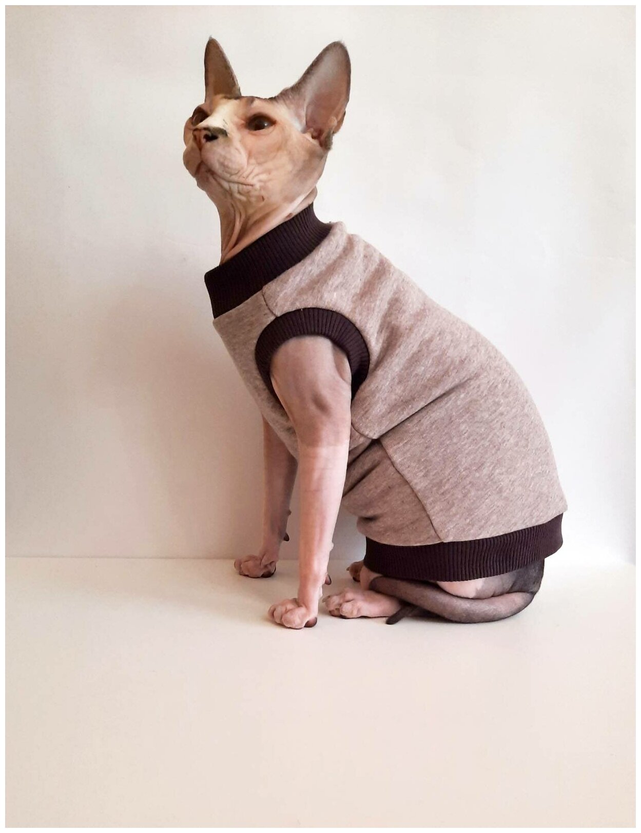 Свитшот для кошек, размер 30 (длина спины 30см), бежевый меланж+шоколад/ толстовка свитшот свитер для кошек сфинкс / одежда для животных - фотография № 7