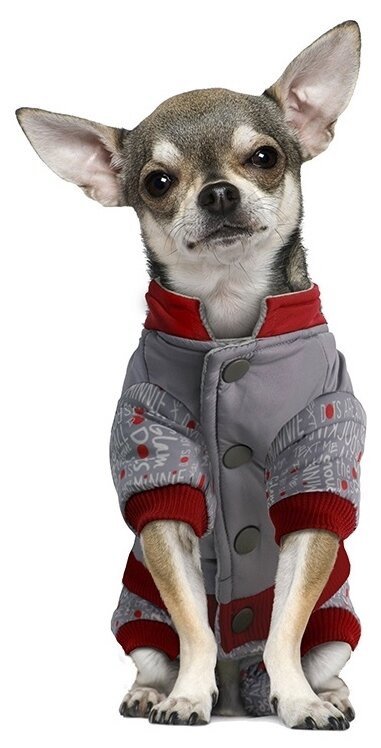 фото Комбинезон для собак Triol Minnie-2