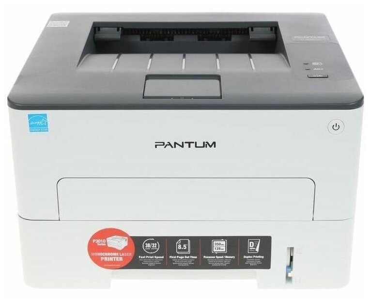 Pantum P3010D