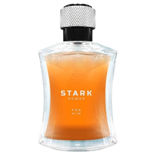 Dilis Parfum Stark Power туалетная вода 100 мл для мужчин